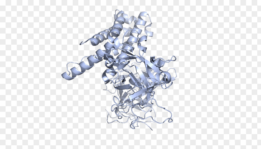 Hypertrophic Cardiomyopathy Drawing /m/02csf PNG