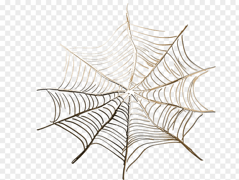 Spider Web Silk Paper Clip Art PNG