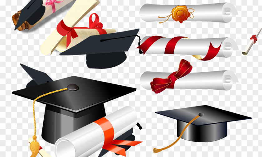 Bachelor Of Cap Diploma Graduation Ceremony Doctorate Bachelors Degree Academic Certificate PNG