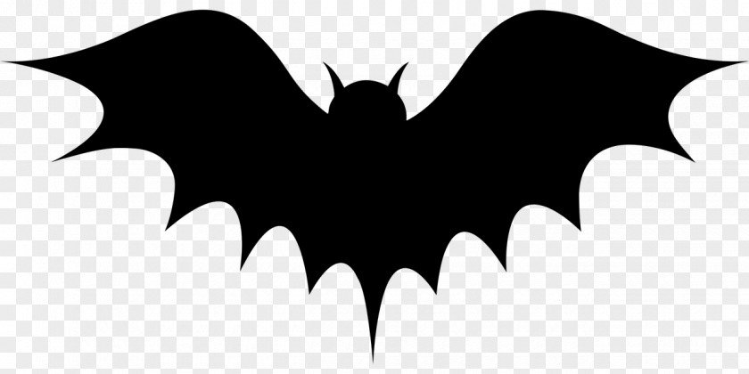 Bat Halloween Drawing Clip Art PNG