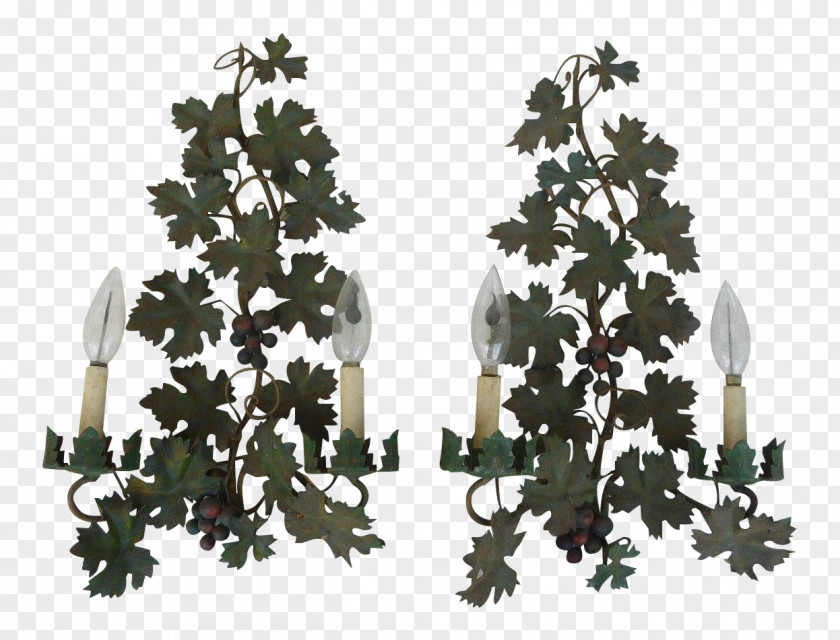 Christmas Tree Spruce Day Fir Ornament PNG