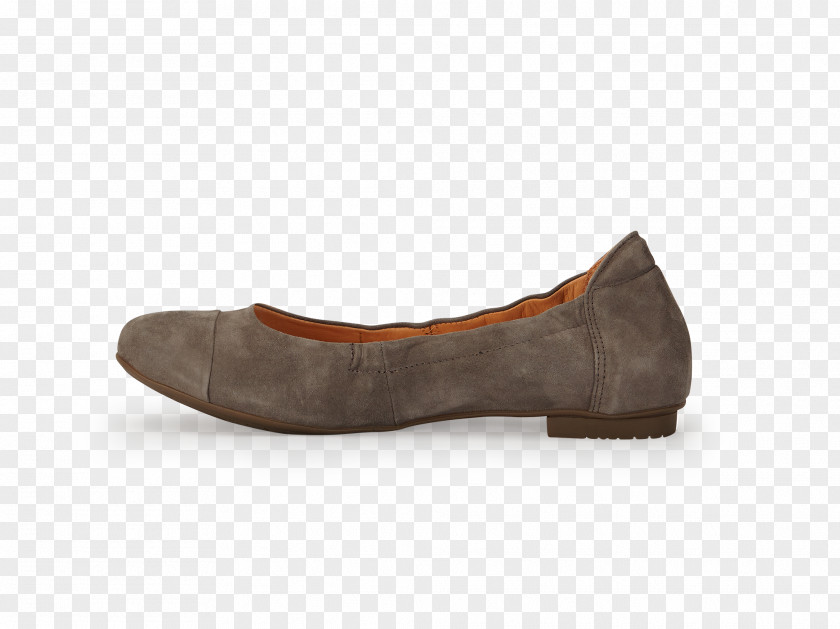 Design Suede Shoe PNG