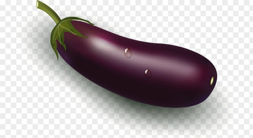 Eggplant Serrano Pepper Vegetable Clip Art PNG