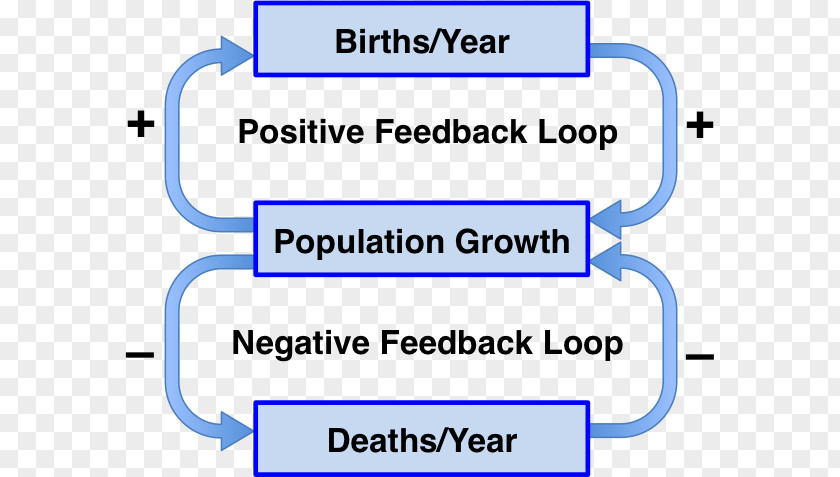 Feedback Loop Negative Positive Homeostasis Biology PNG