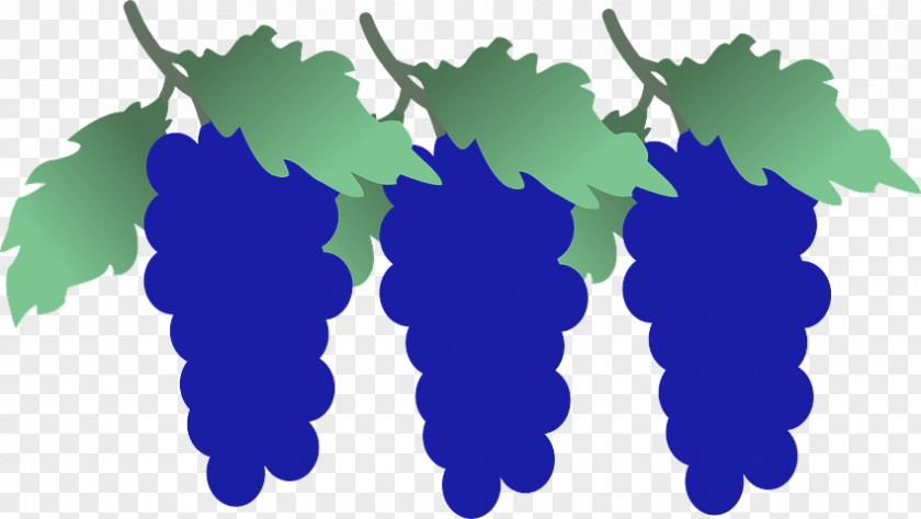 Grape Leaves Plant Vitis Grapevine Family PNG