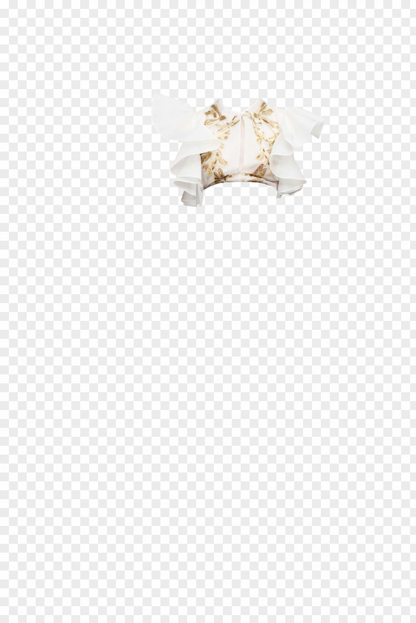 Jewellery Body PNG