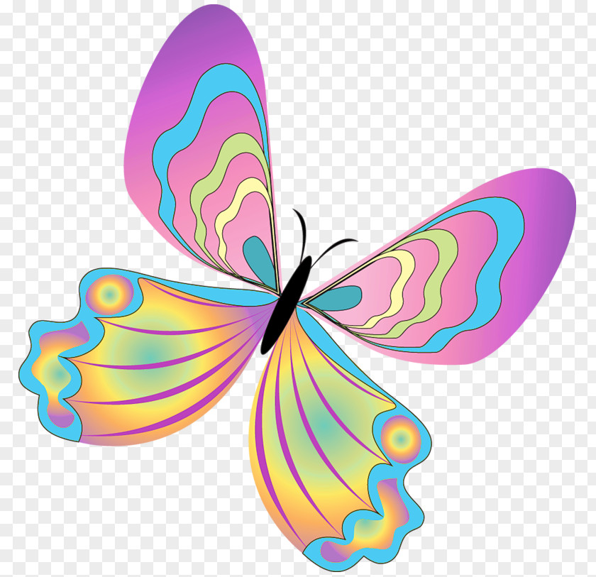 Painted Butterfly Clipart Clip Art PNG
