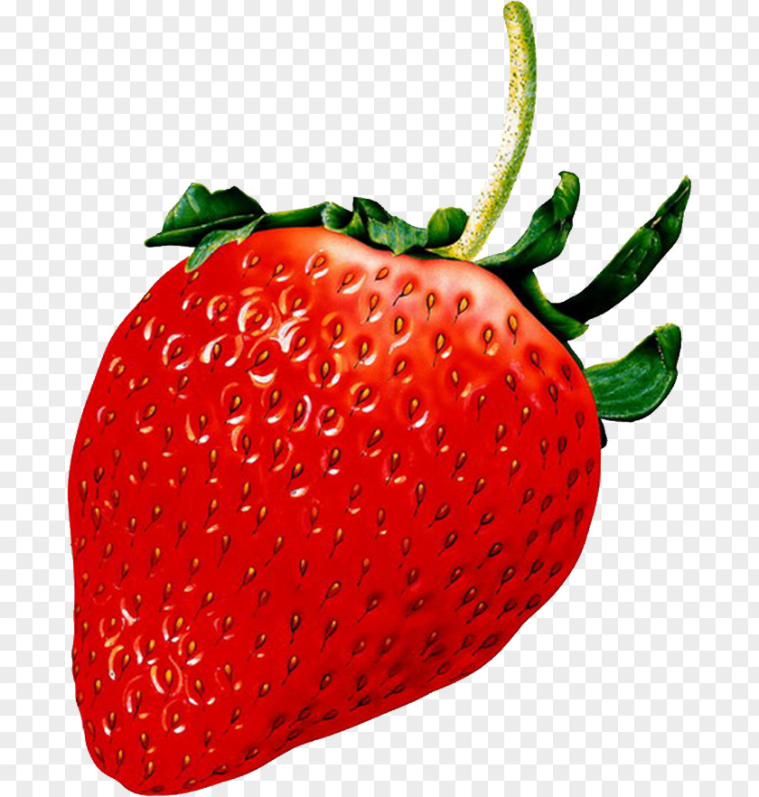 Red Strawberry Aedmaasikas Fruit Clip Art PNG