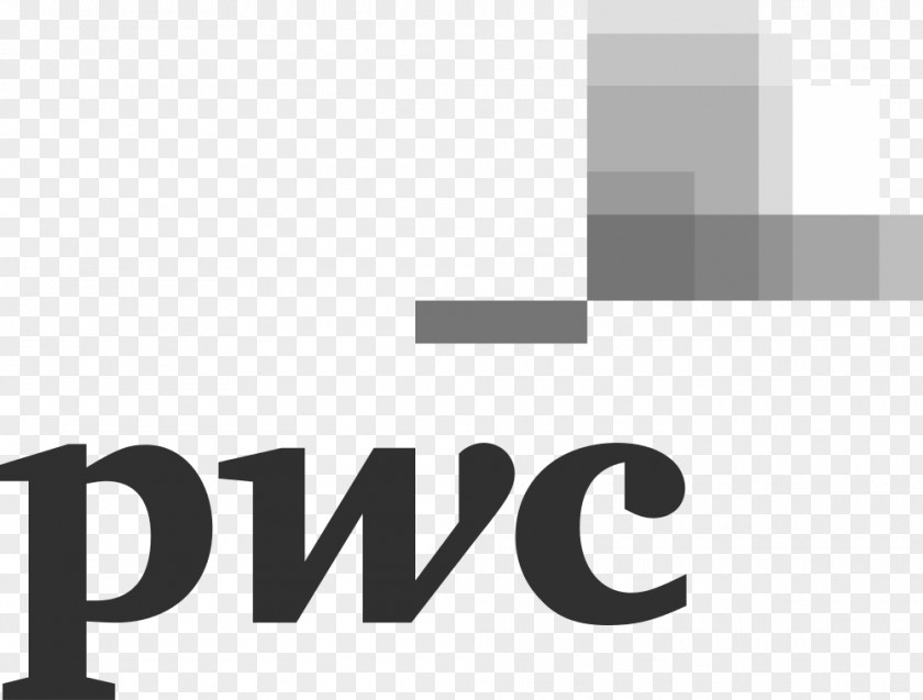 Business PricewaterhouseCoopers New York City Committee Of Sponsoring Organizations The Treadway Commission Strategy& PNG