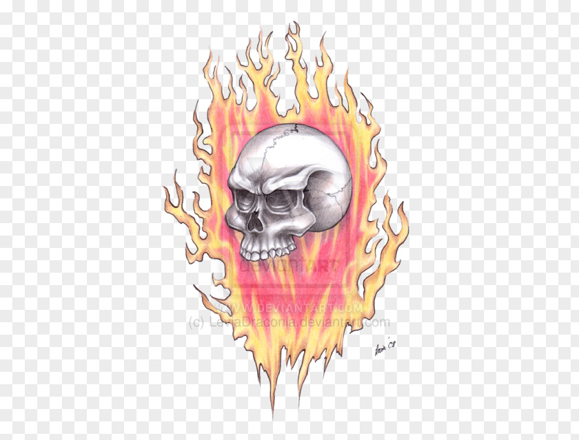 Car Tattoo Skull Drawing /m/02csf Jaw PNG