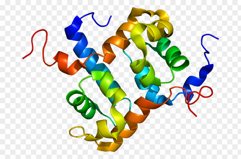 ERCC4 ERCC1 Nucleotide Excision Repair Protein Endonuclease PNG