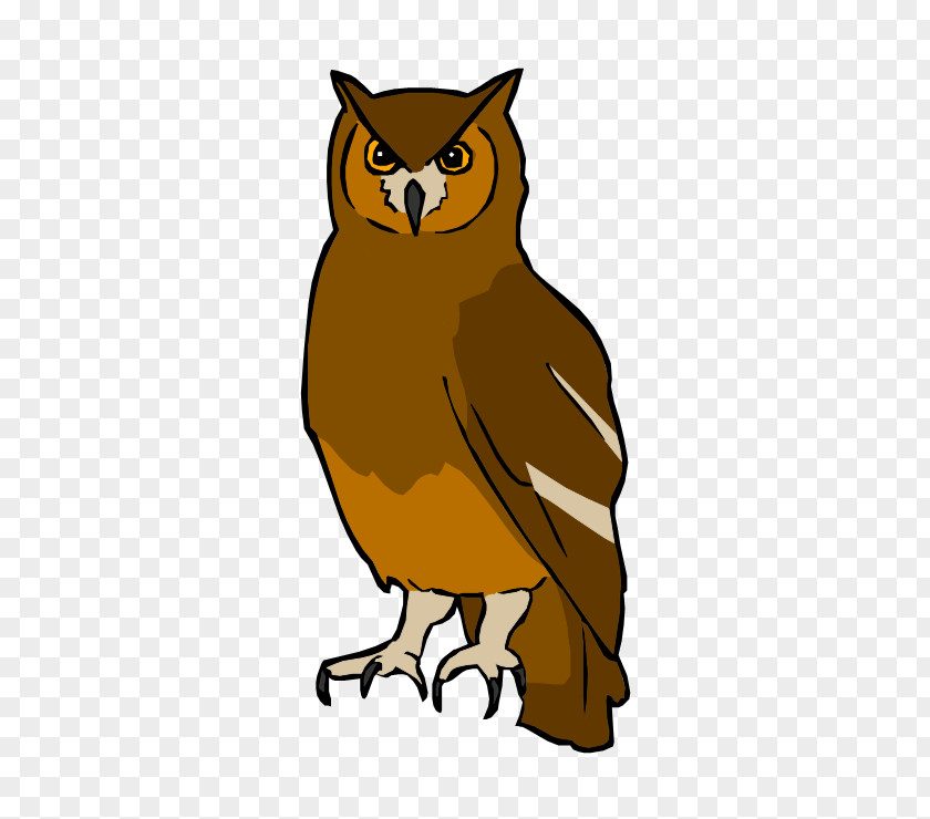Forest Animal Owl Bird Squirrel PNG