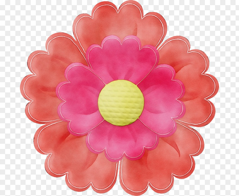 Gerbera Plant Pink Petal Flower PNG