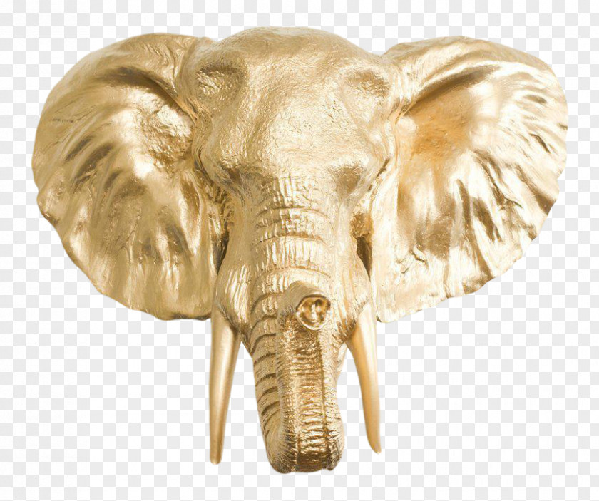 Gold African Elephant Elephantidae Tusk Silver PNG