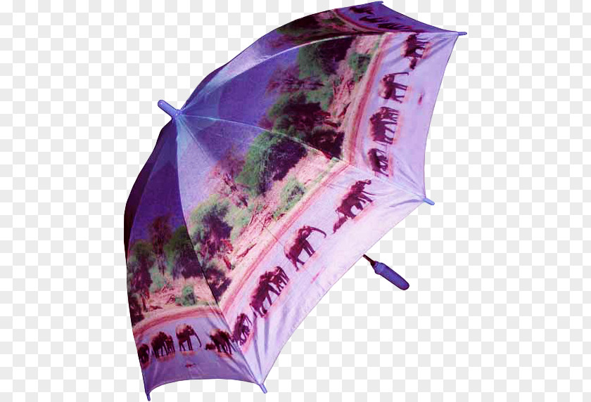 Umbrella Clip Art PNG