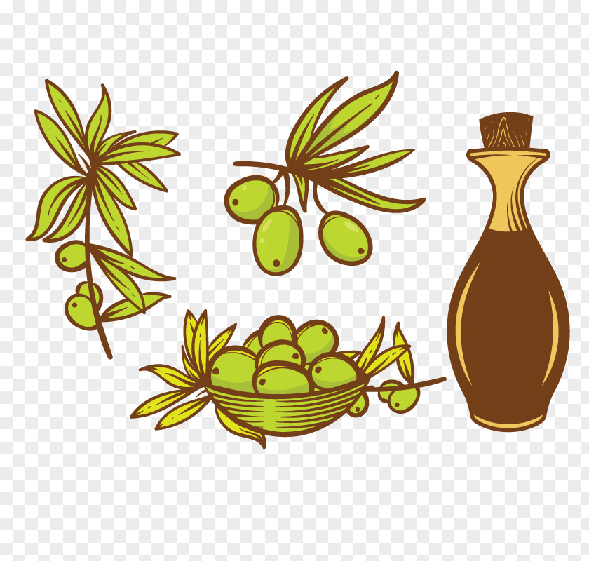 Vector Olive Oil Euclidean Vegetable PNG