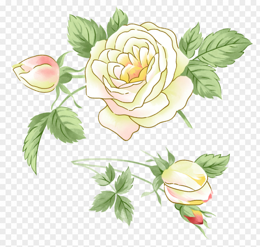 White Roses Garden Flower Clip Art PNG