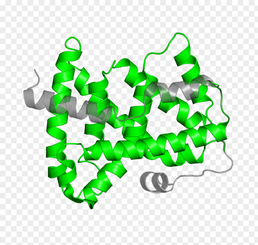 Biology Biomolecules Proteins Clip Art Product Organism Line PNG