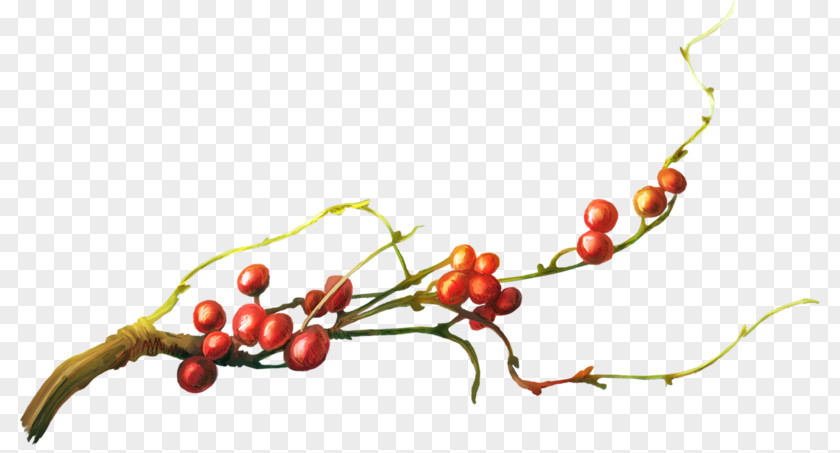 Cherry Tree Ah Download Branch PNG