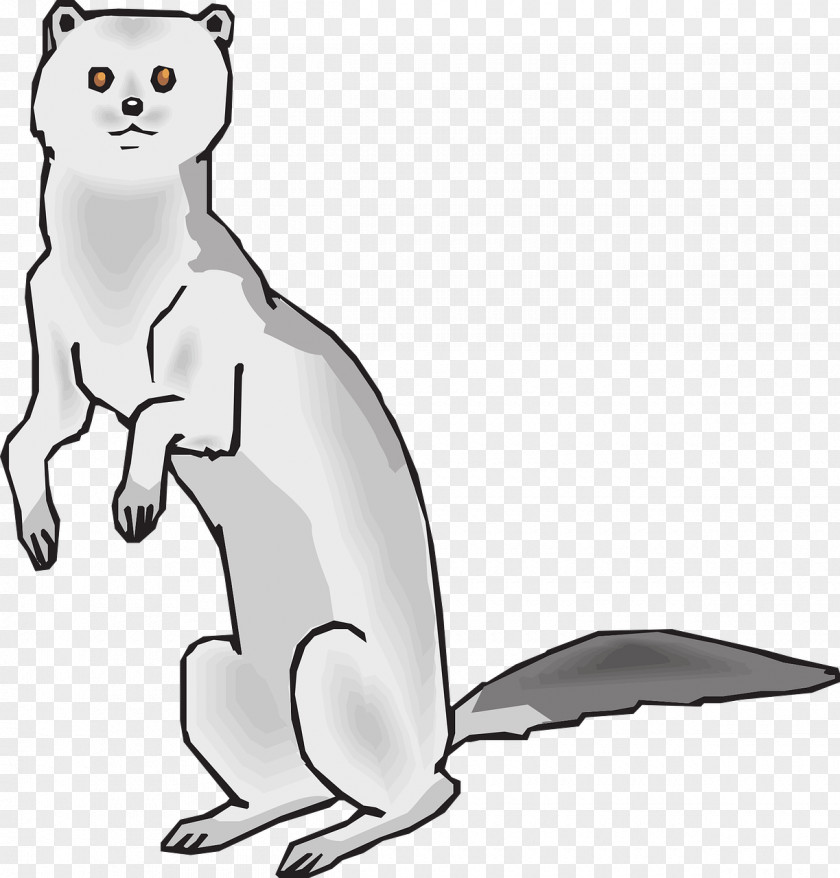 Claw Ferret Mink Drawing Clip Art PNG