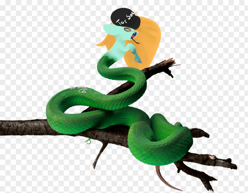 Dragon Zodiac Smooth Green Snake Vipers Clip Art PNG