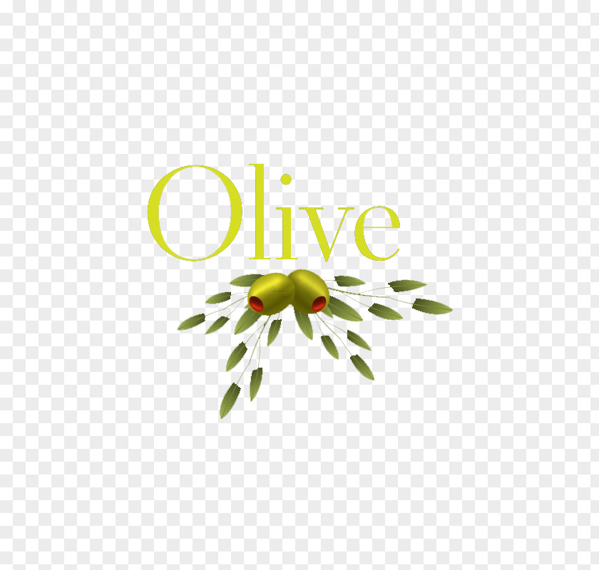 Free Olive Pull Material Oil Leaf PNG