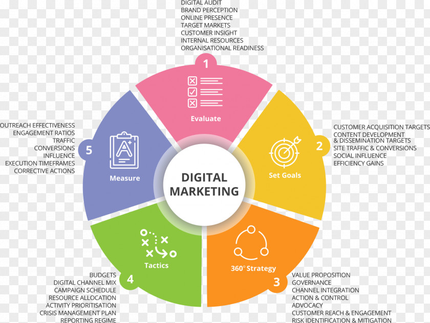 Digital Marketing Project Management Body Of Knowledge Business Process Organization PNG