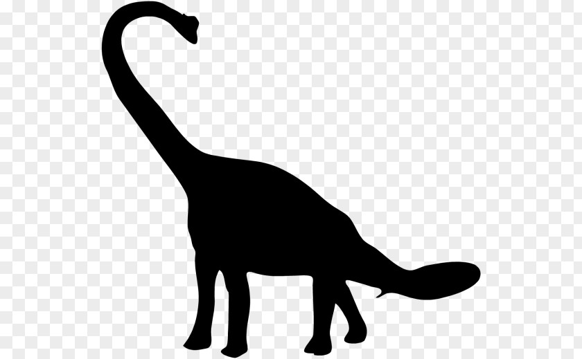 Dinosaur Brachiosaurus Brontosaurus Diplodocus Tyrannosaurus Clip Art PNG