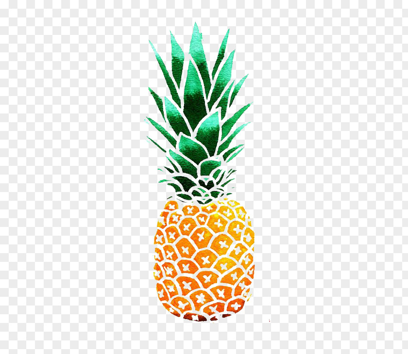 Pineapple Drawing Watercolor Painting Clip Art PNG