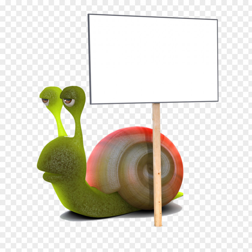 Placards Cartoon Snail Poster Caracol Photography Illustration PNG