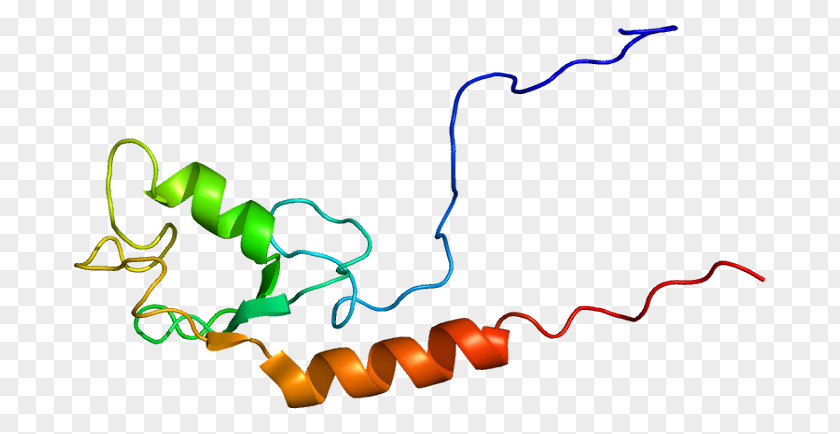 UBE4A Protein Gene Human Ubiquitination PNG