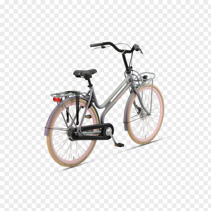 Bicycle Wheels Frames Saddles Batavus PNG