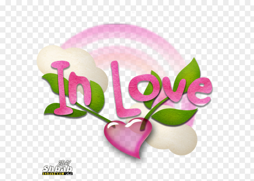 Hob Love Romance Film Clip Art PNG