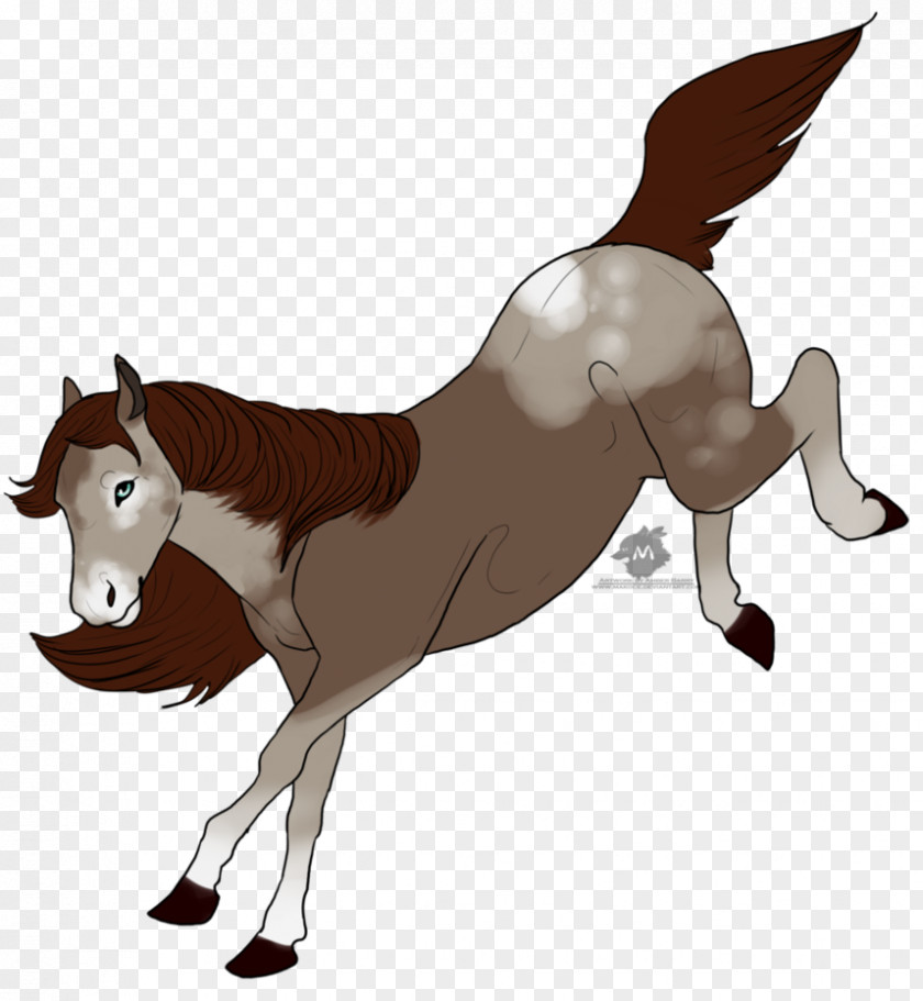 Mustang Mule Foal Stallion Mane PNG
