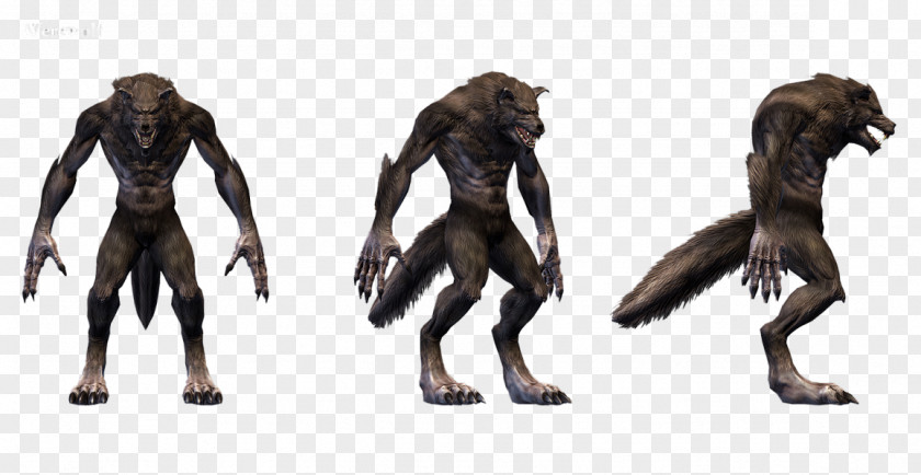 Werewolf The Elder Scrolls Online V: Skyrim ZeniMax Studios Video Game PNG