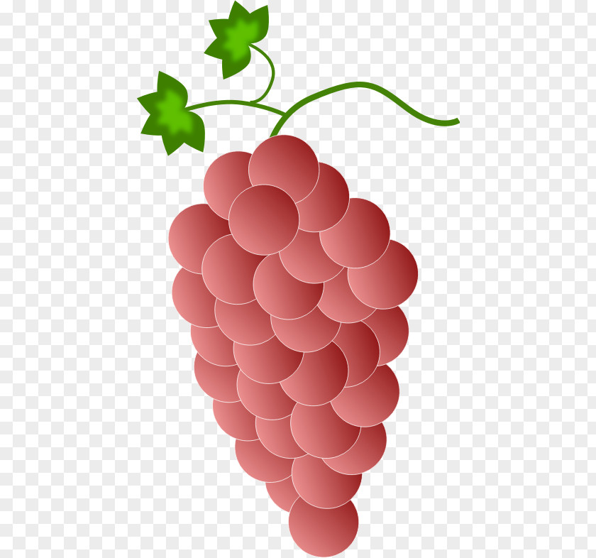 Wine Common Grape Vine Red Clip Art PNG