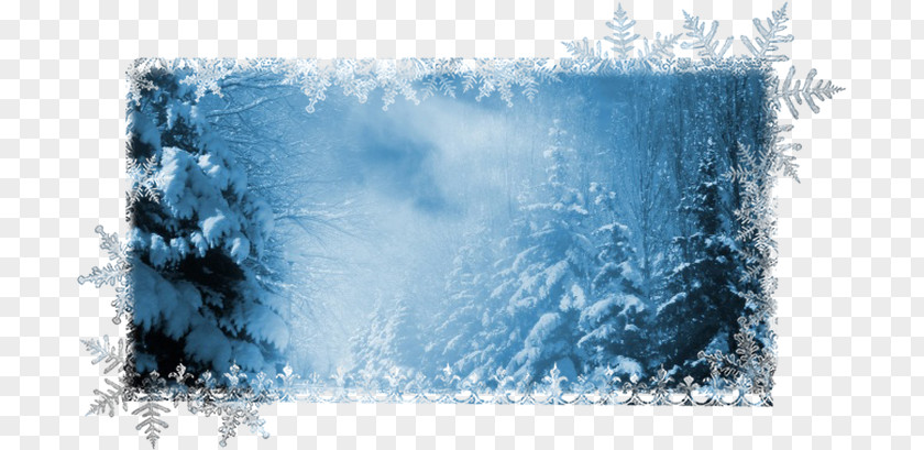 Winter Desktop Wallpaper Storm Snow Olvang's Huntsman PNG