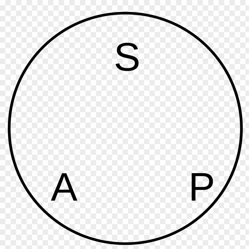 Circle Point White Line Art Brand PNG