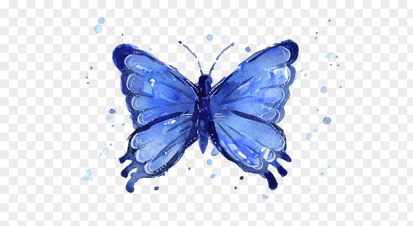 Moths And Butterflies Butterfly Insect Pollinator Blue PNG