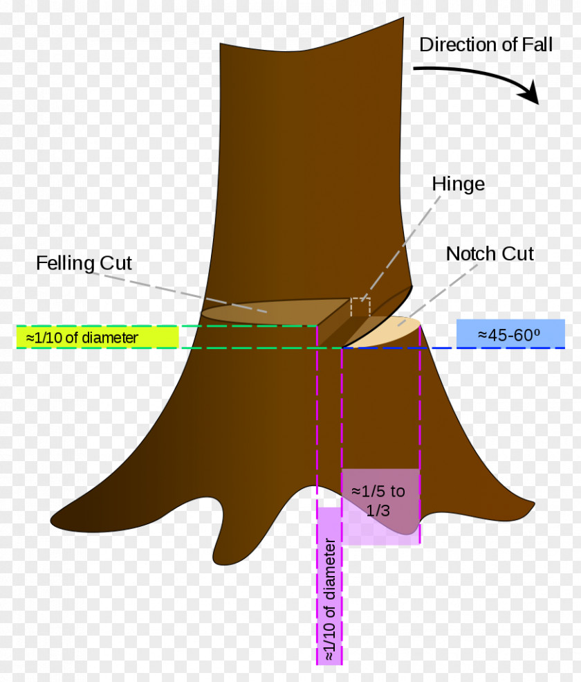 Tree Felling Cutting Chainsaw Forest PNG