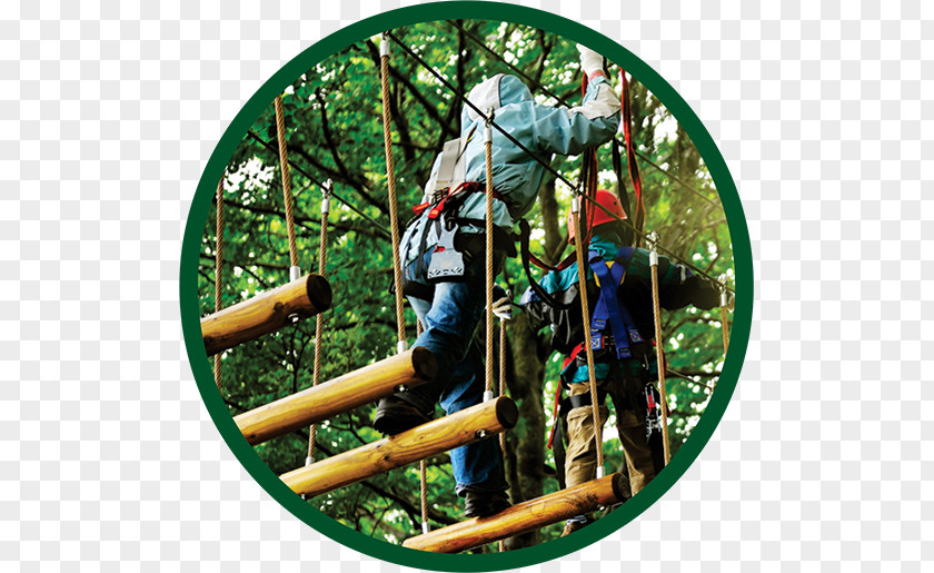 Overlooking A Variety Of Trees Adventure Park Amusement Mercantour National PNG