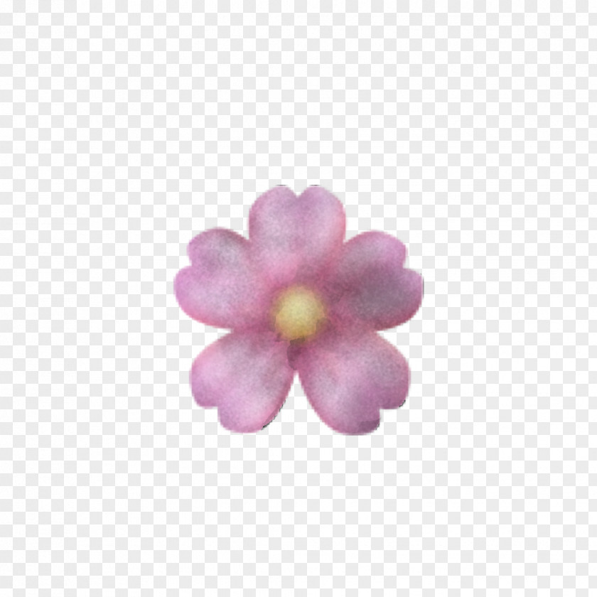 Pink Violet Petal Flower Purple PNG