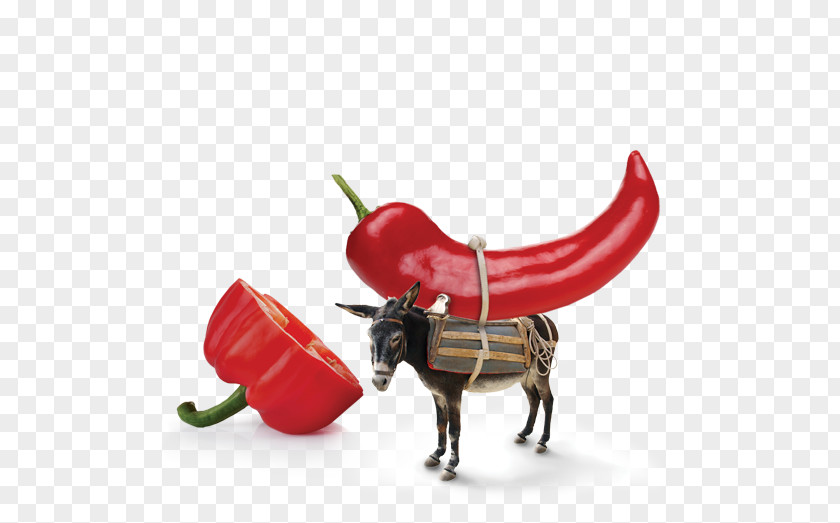 Smoky Paprika Chili Pepper Bell PNG