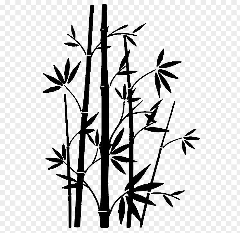 Bambou Paper Drawing Bamboo Image PNG