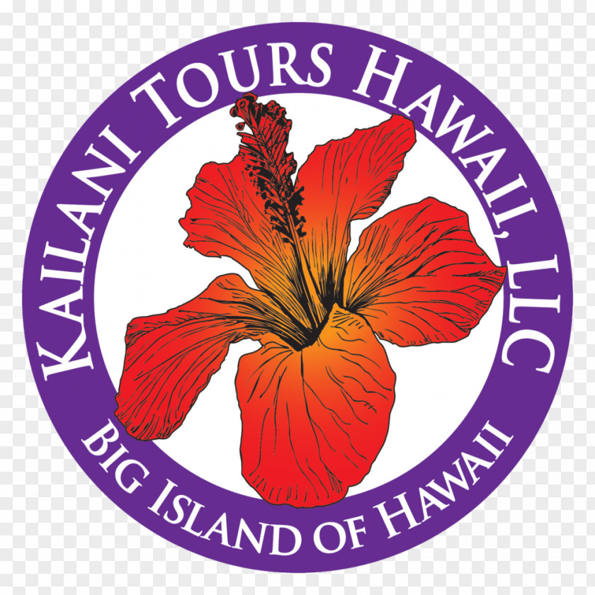 Dental Medical Equipment Mauna Kea Loa Kīlauea Kailani Tours Hawaii Volcano PNG
