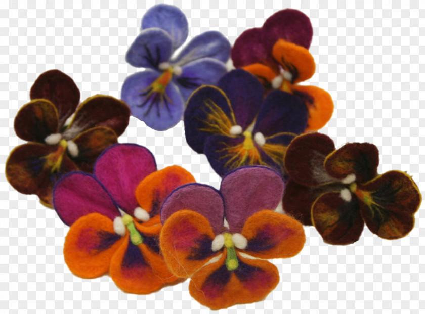 Moth Orchids Cut Flowers Petal PNG