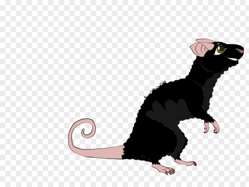 Rat & Mouse Cat Rodent Mammal PNG