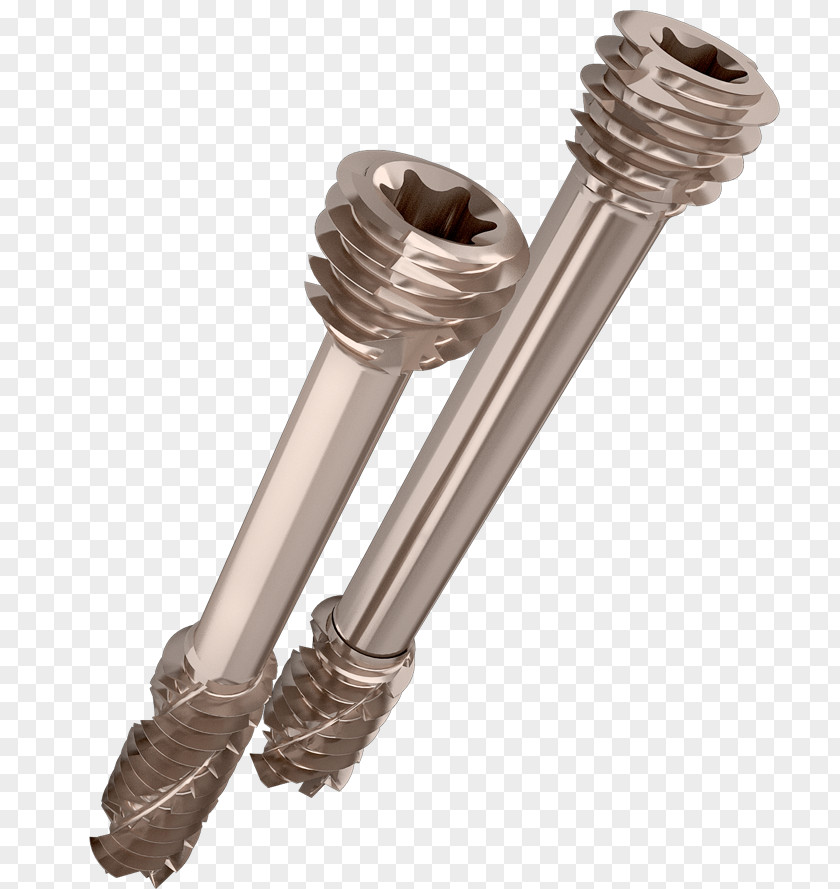 Screw Set Self-tapping Bolt Threading PNG