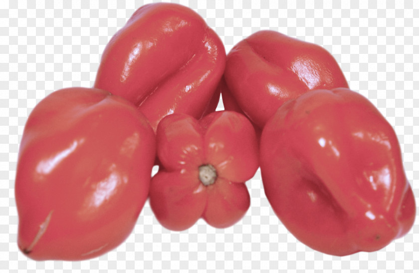 Tomato PNG