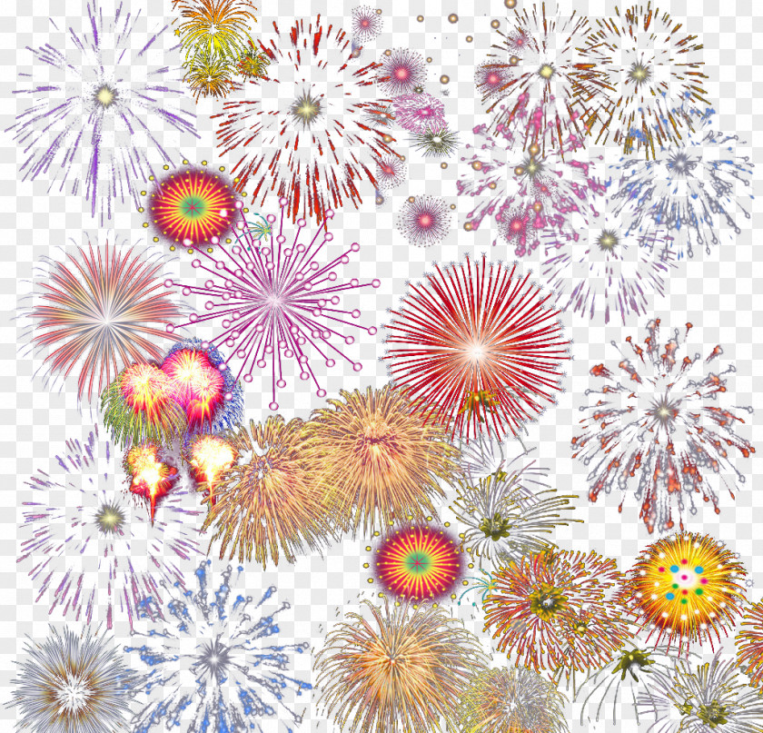 Color Gorgeous Fireworks Download PNG